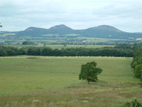 The Eildon Hills from Dere Street
