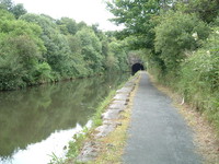 The tunnel near Callendar House
