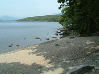 The Loch Lomond shoreline