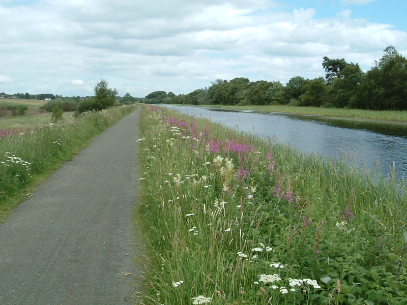 The Forth and Clyde Canal near Kilsyth