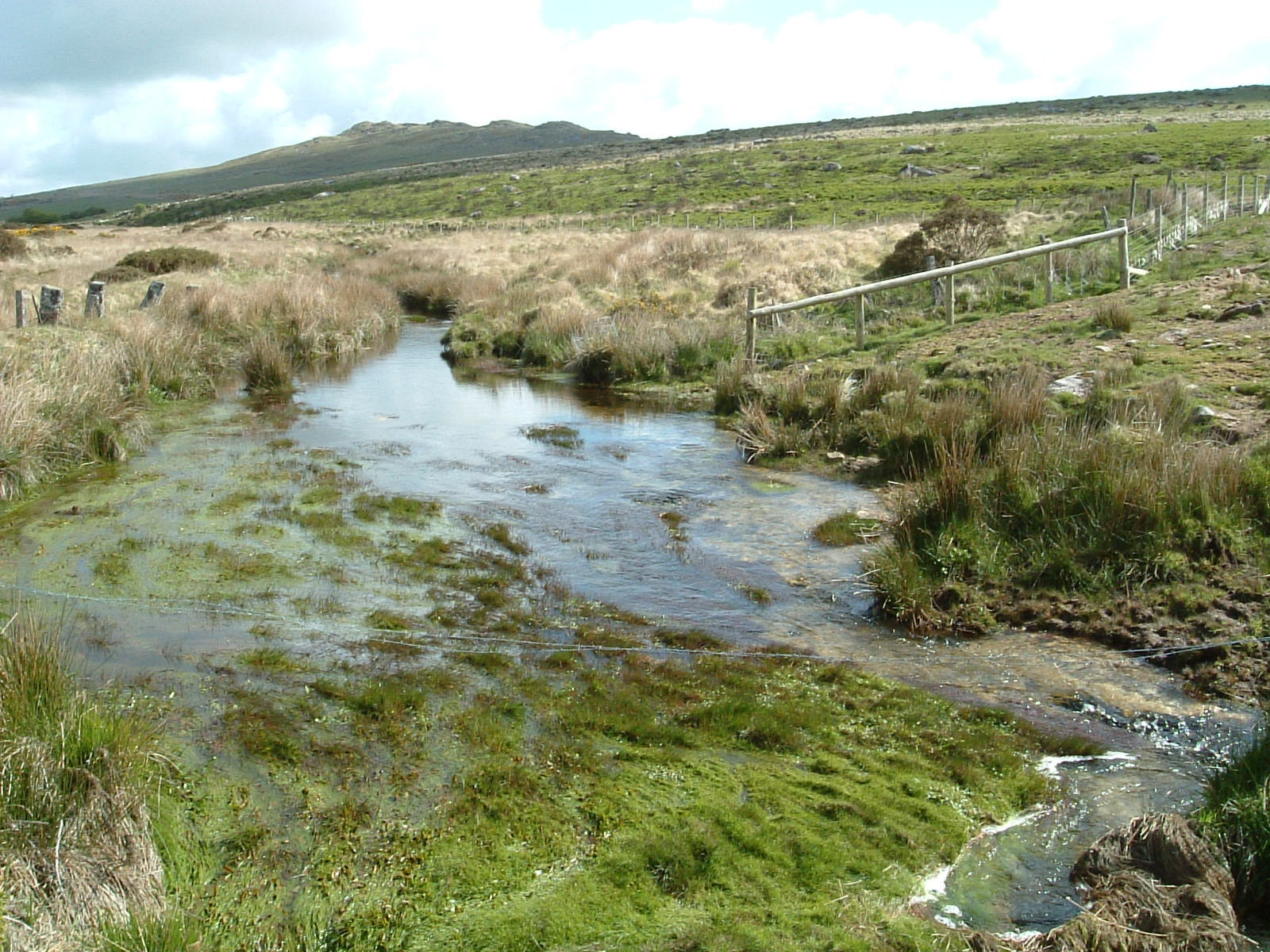 Scenery on the way to Brown Willy