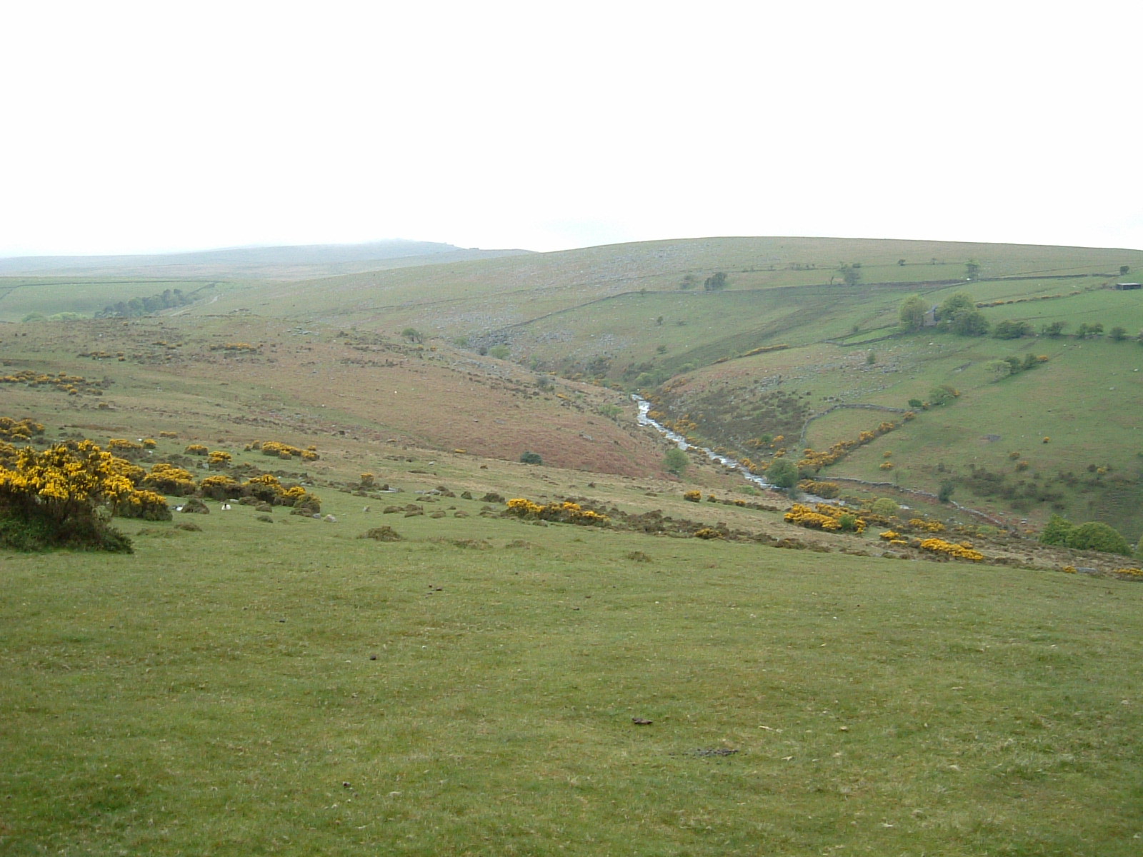 A rather miserable Dartmoor as seen from the Tarka Trail
