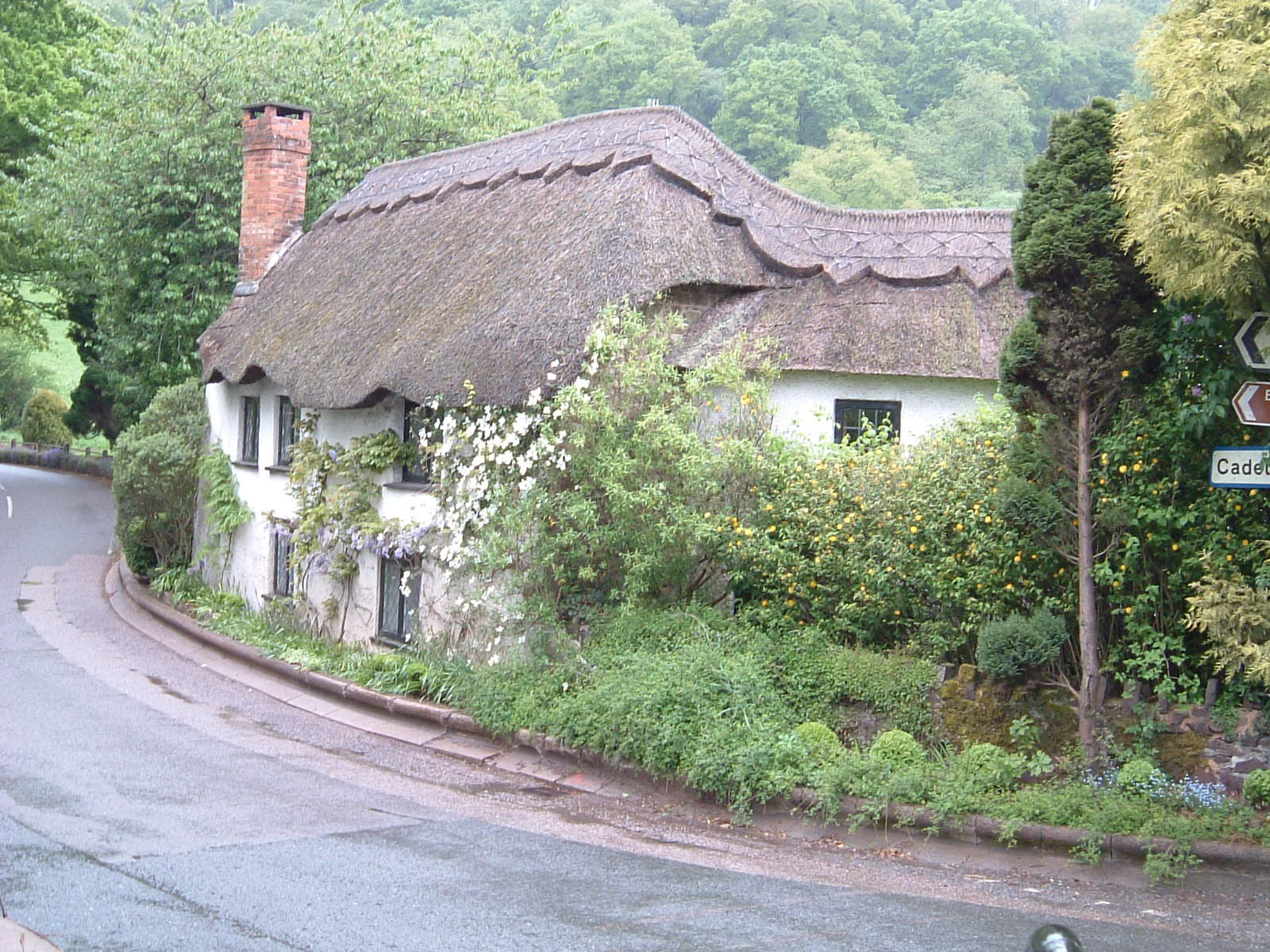 A wonderful cottage on Dart Bridge