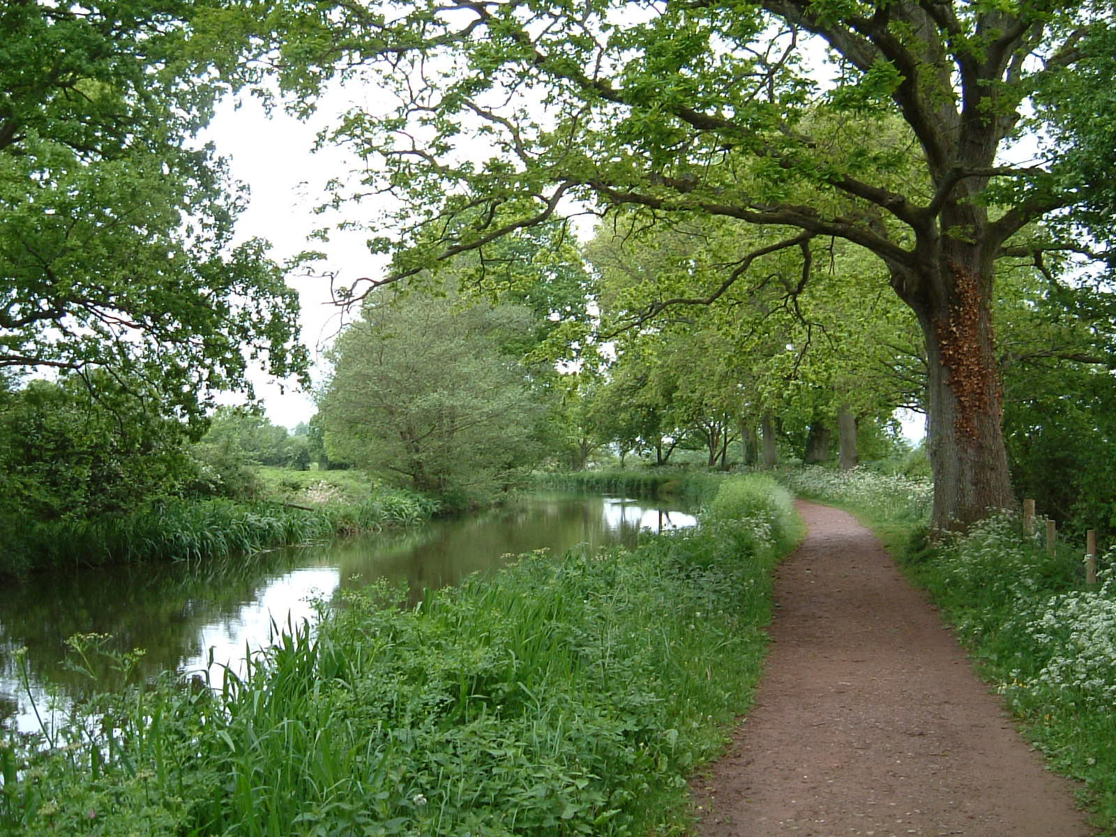 The Great Western Canal