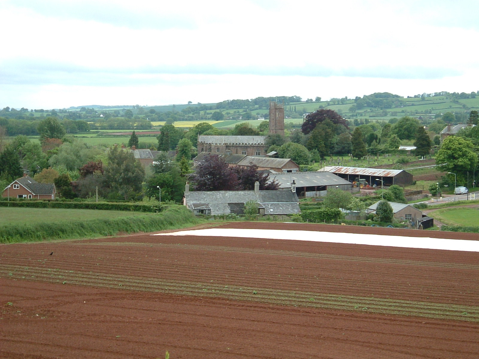 Halberton from the Great Western Canal