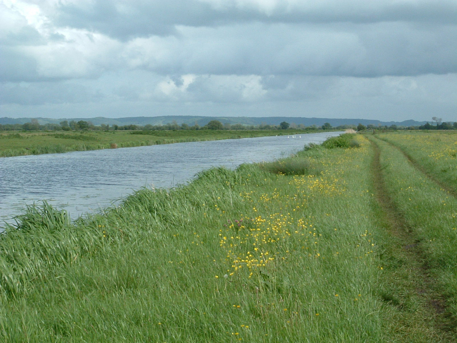 King's Sedgemoor Drain