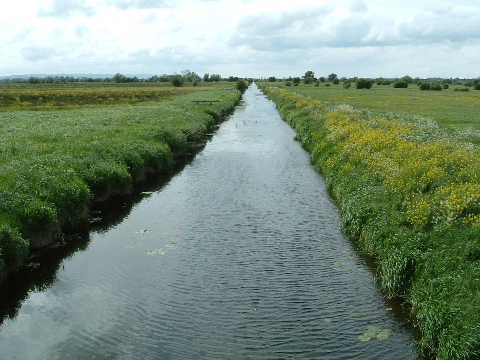 King's Sedgemoor Drain