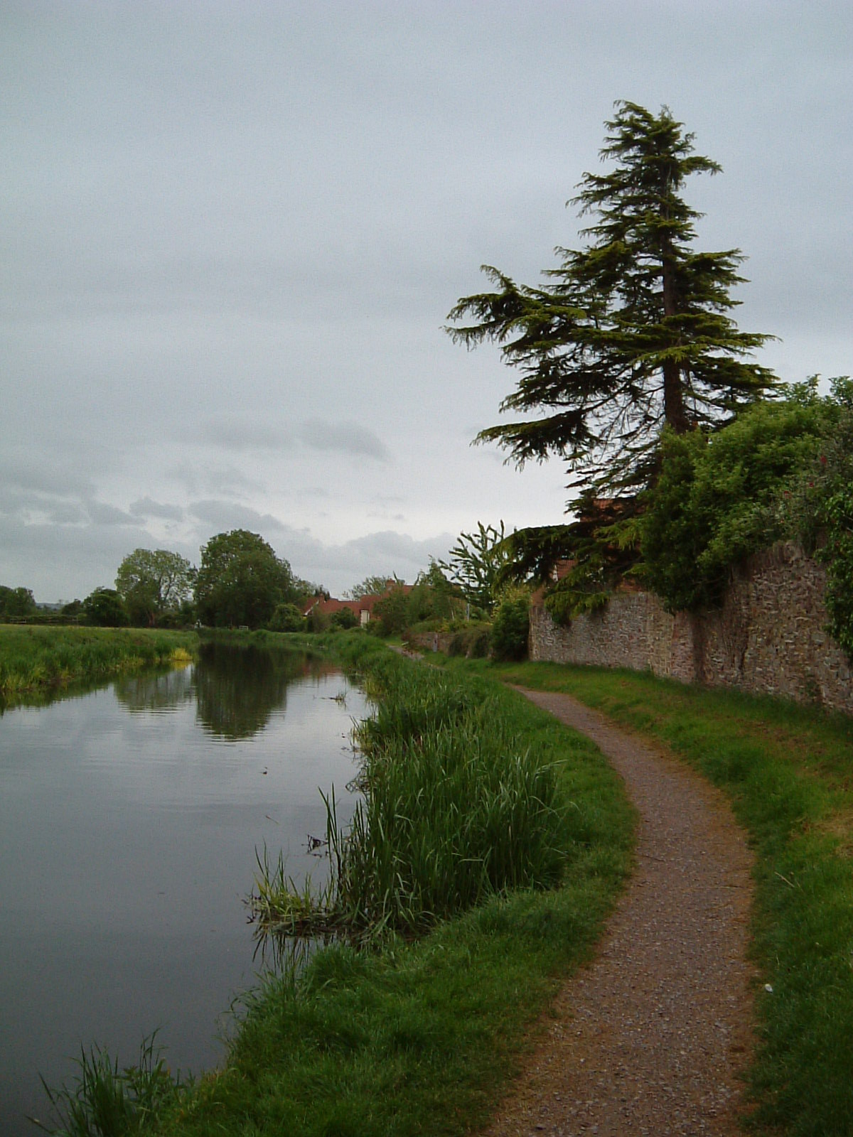 The Bridgwater and Taunton Canal
