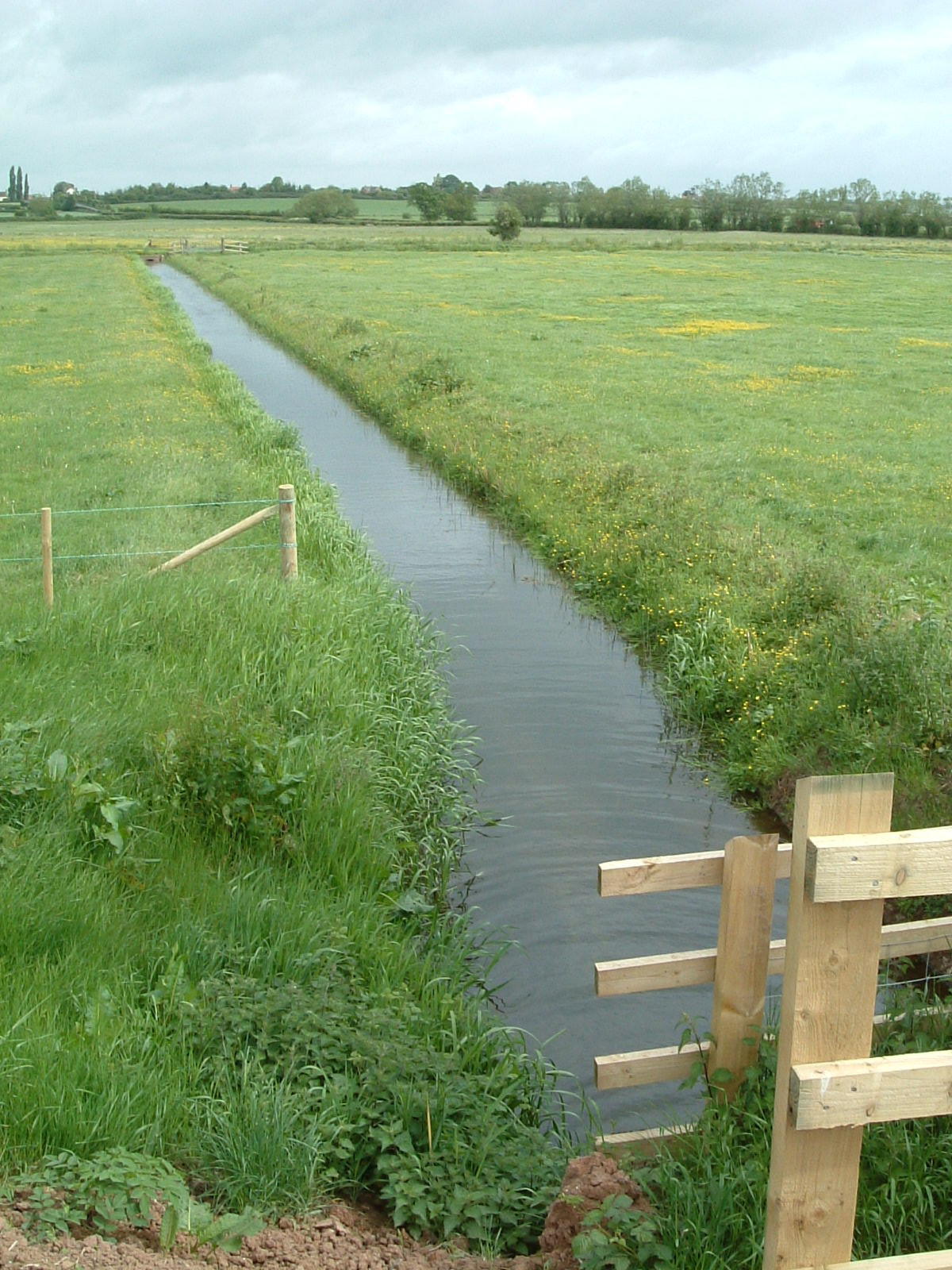 An irrigation channel in the wetlands by the River Tone
