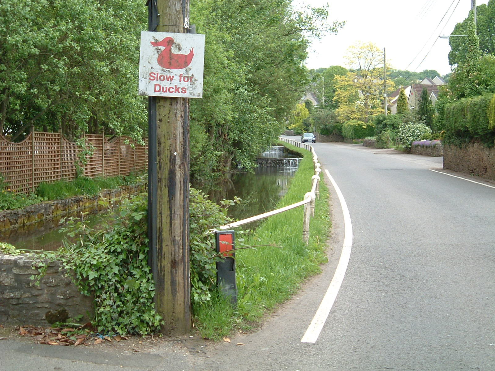 A sign saying 'Slow for Ducks'