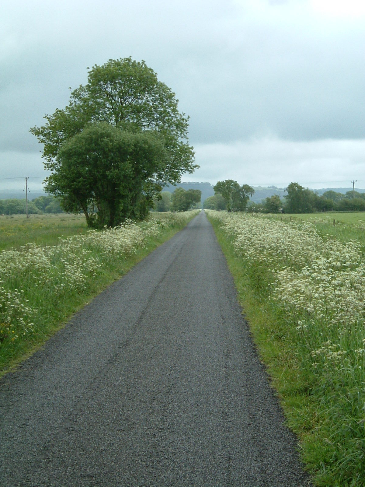 Long Drove