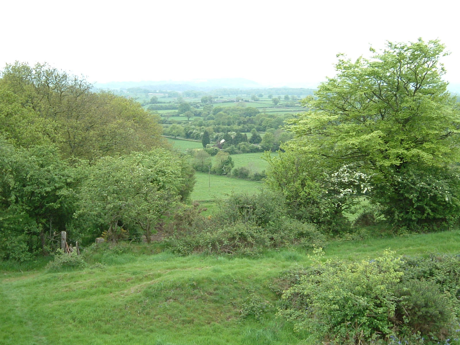 The view from Maesbury Castle