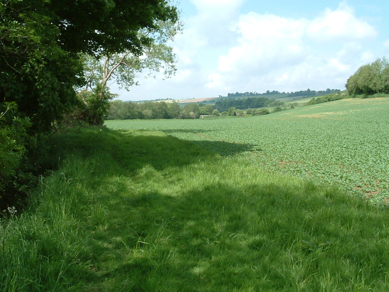 Views along the Cam Brook