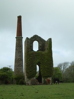 An old tin mine in Nancegollan