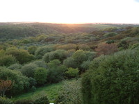 St Breward (Tregolls Farm to St Breward)
