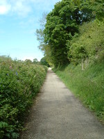 The Camel Trail near Poley's Bridge