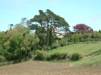 The Camel Trail near Poley's Bridge