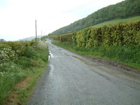 A wet lane