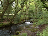 East Okemont River Valley on the Tarka Trail