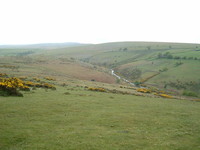 A rather miserable Dartmoor as seen from the Tarka Trail