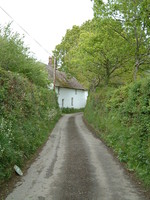 A cottage on a Devon lane