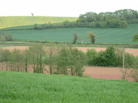 A patchwork of green and brown fields in Devon