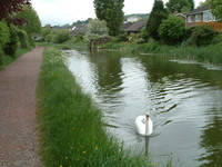 The Great Western Canal