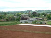 Halberton from the Great Western Canal