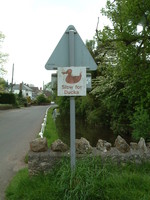 A sign saying 'Slow for Ducks'