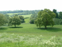 Views along the Cam Brook
