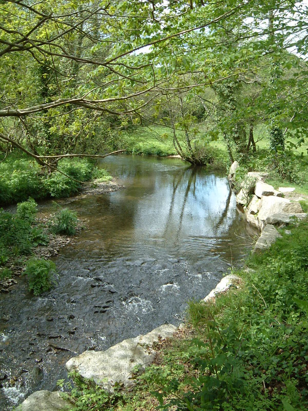 The River Camel near Poley's Bridge