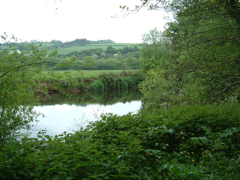The tranquil River Exe