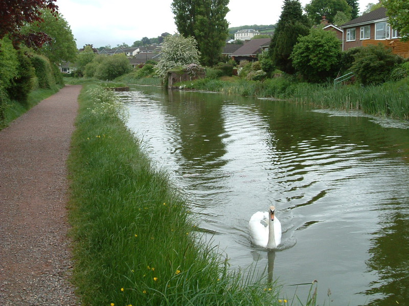 Old mutual canal discount walk