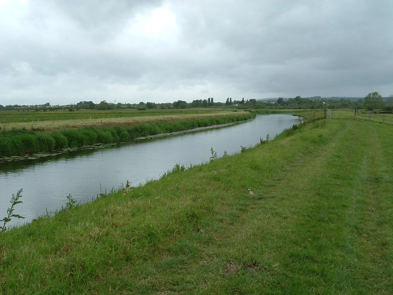 The River Tone