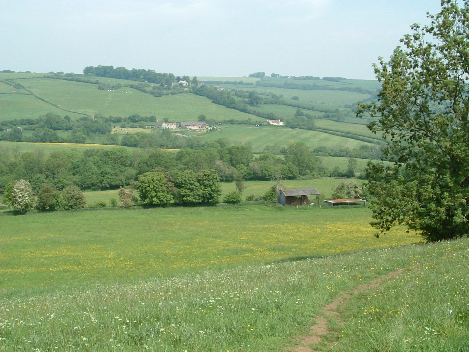 Lilliput Farm