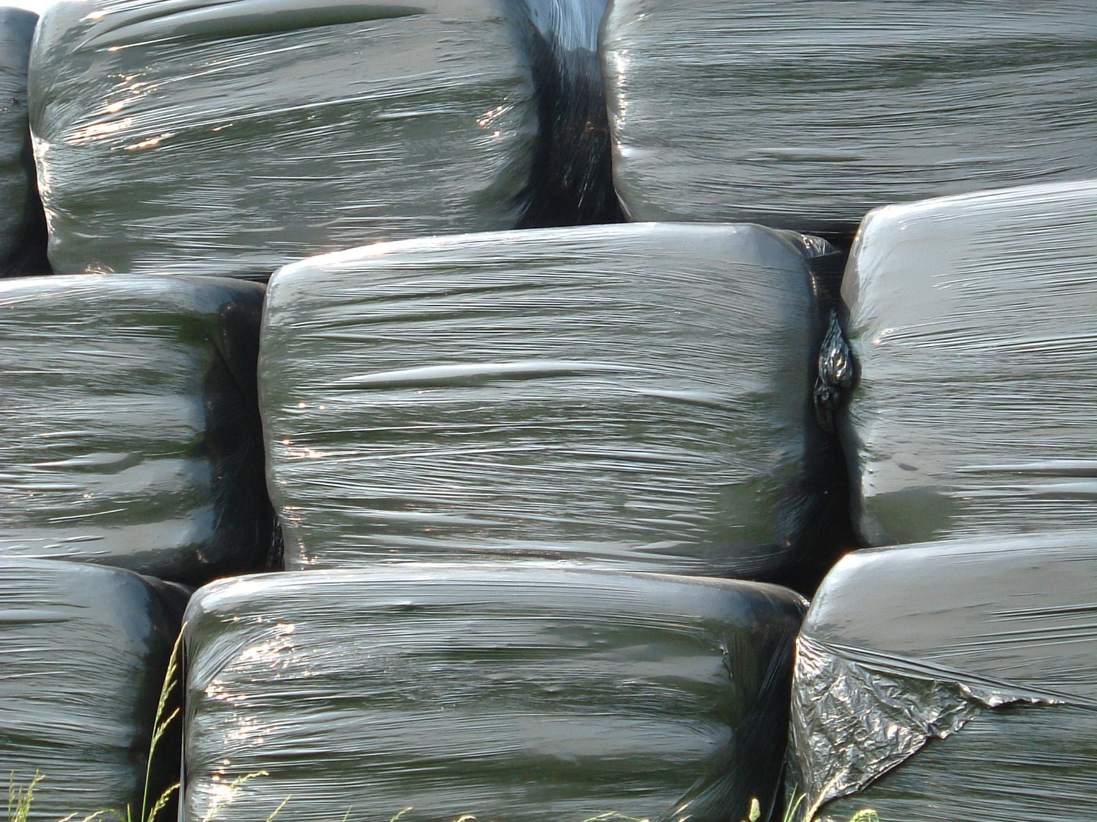 Silage bags stacked in a field