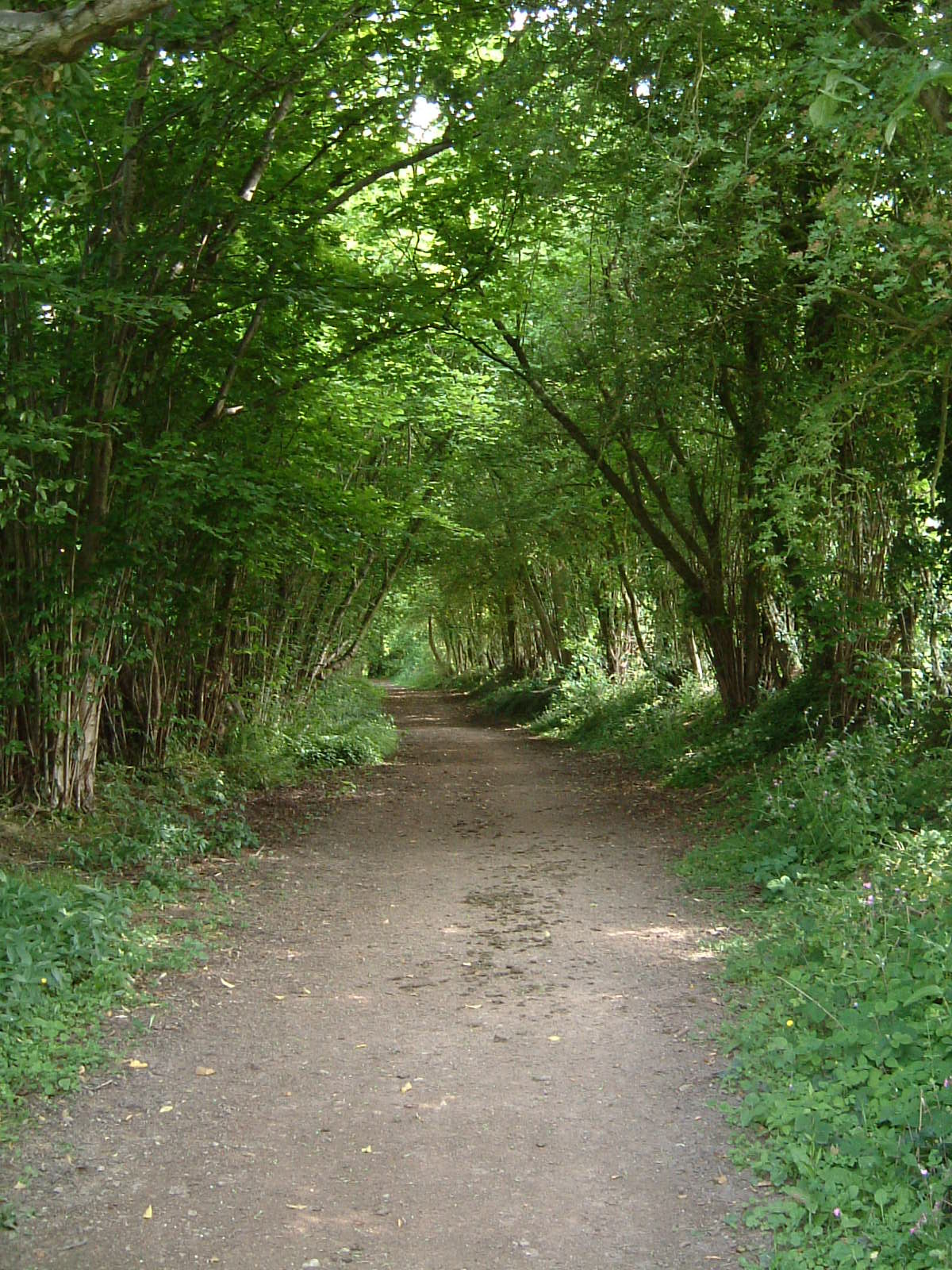 The bridleway to Moorend