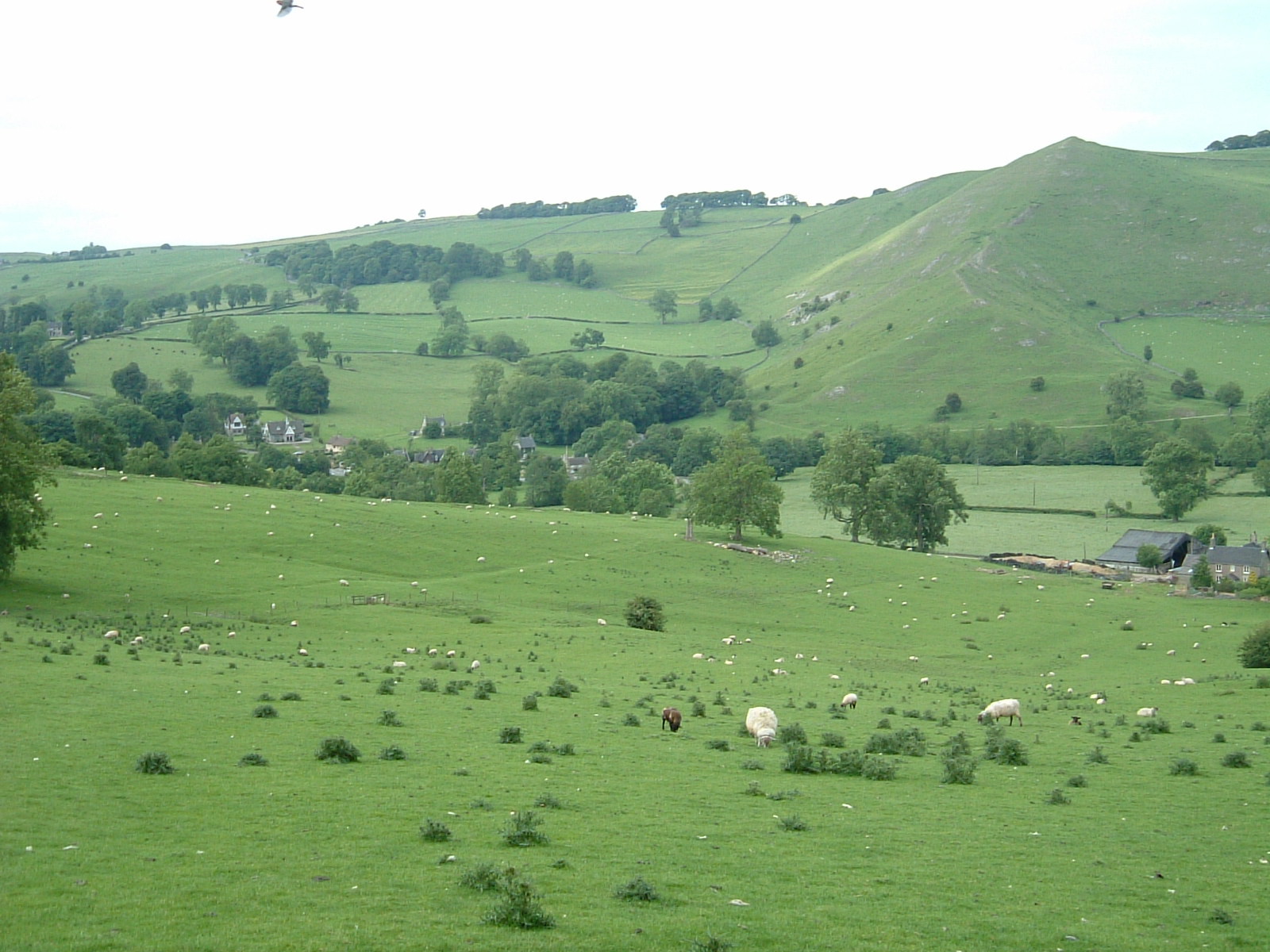 Ilam from a distance