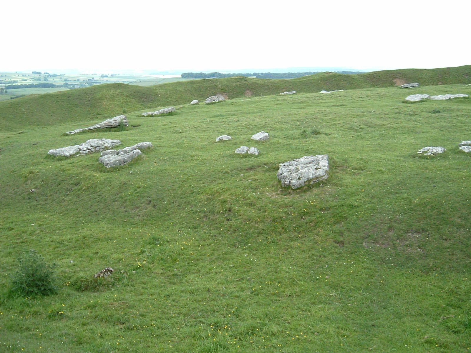 Arbor Low