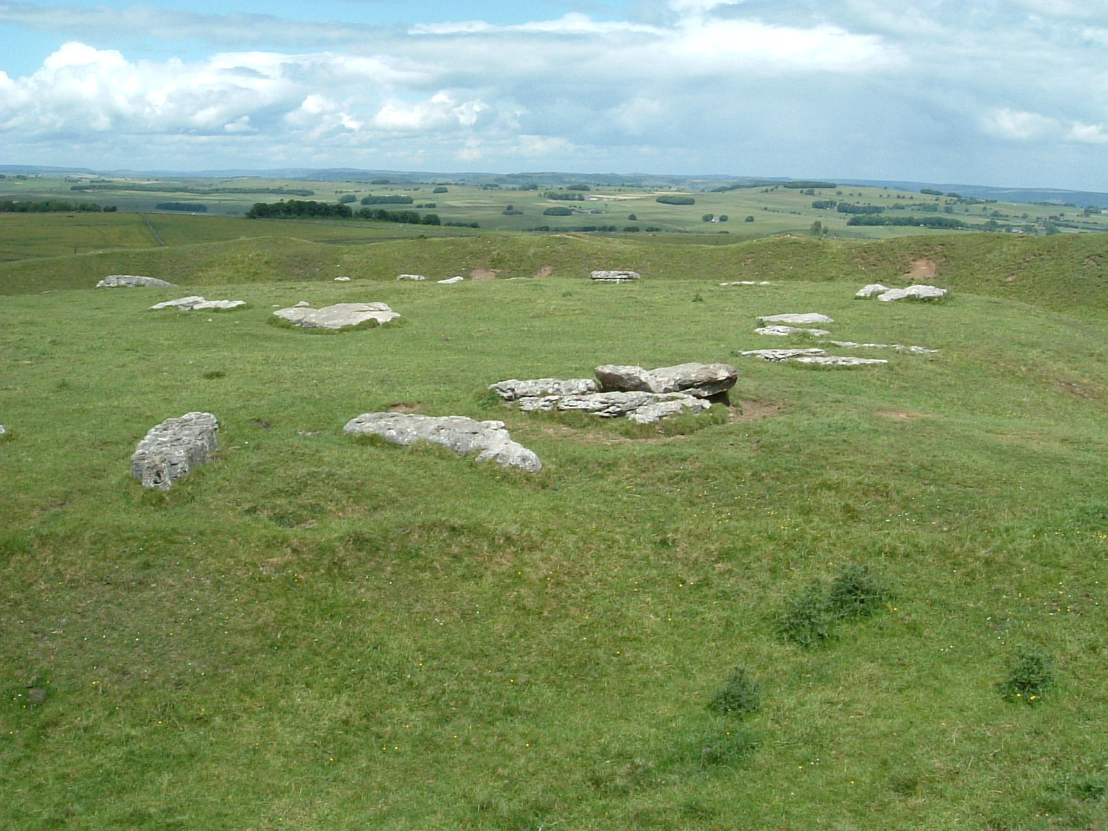 Arbor Low