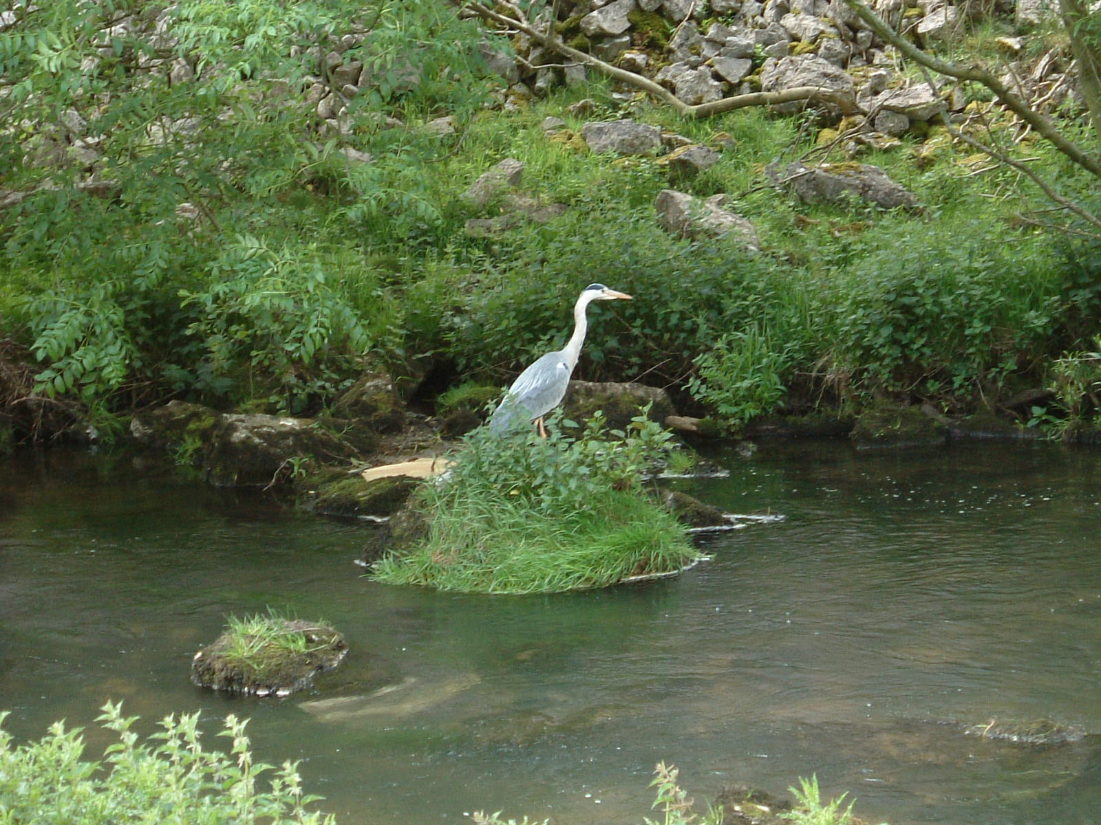 Dovedale