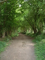 The bridleway to Moorend