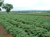 A field in Shropshire