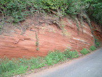 A sandstone cutting by the side of the road