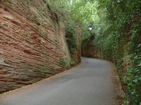 A sandstone cutting by the side of the road