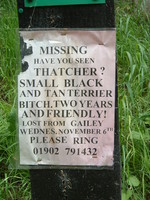A sign searching for a lost dog called 'Thatcher'