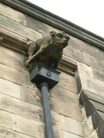 A gargoyle on St Nicholas Church in Abbots Bromley