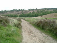 Cannock Chase